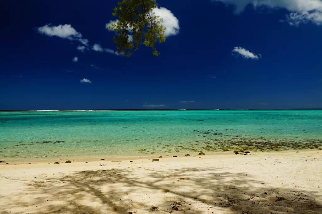 Suudi Arabistan Mauritius'a Hurma Bağışladı