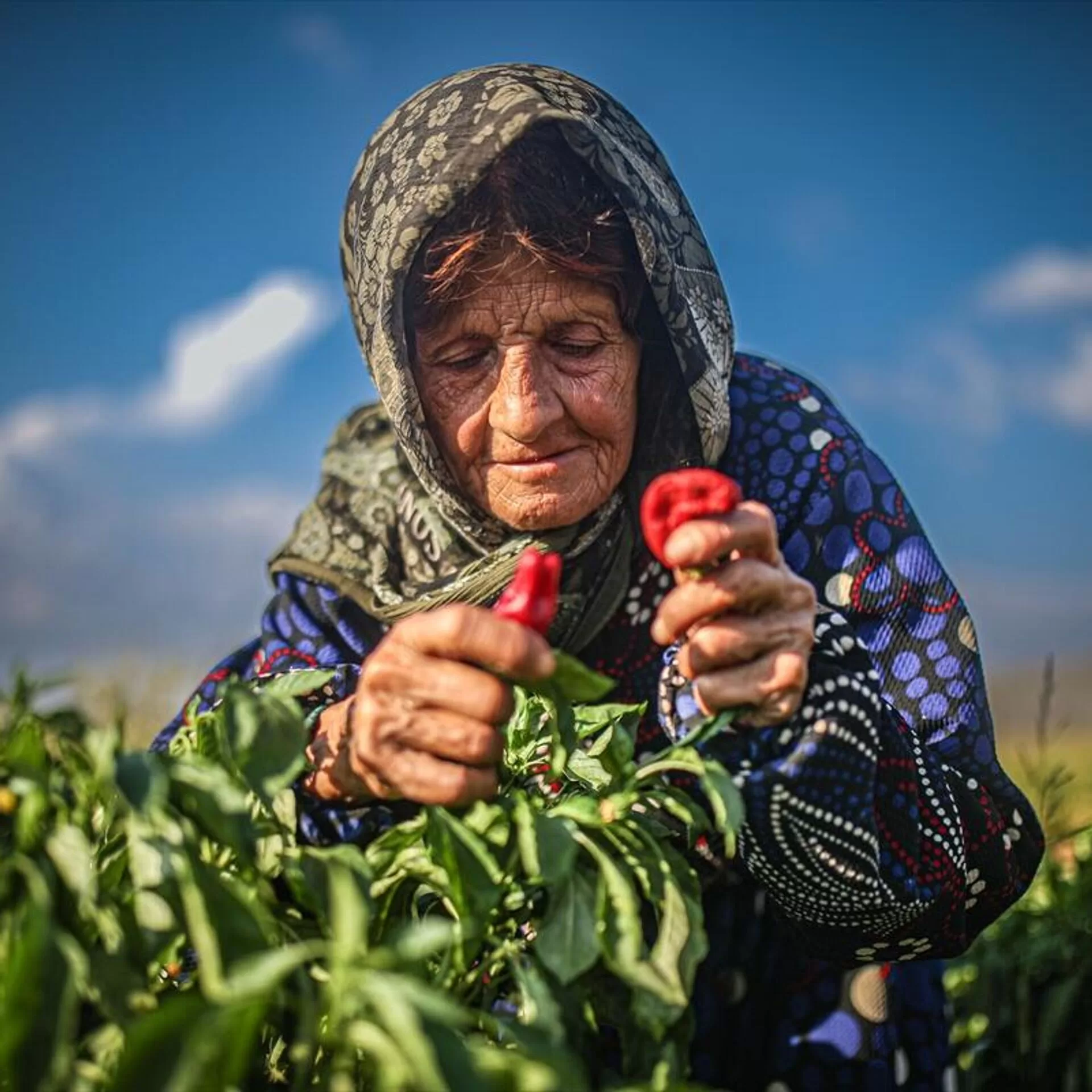 Kadın Girişimcilere 15 Milyar Destek