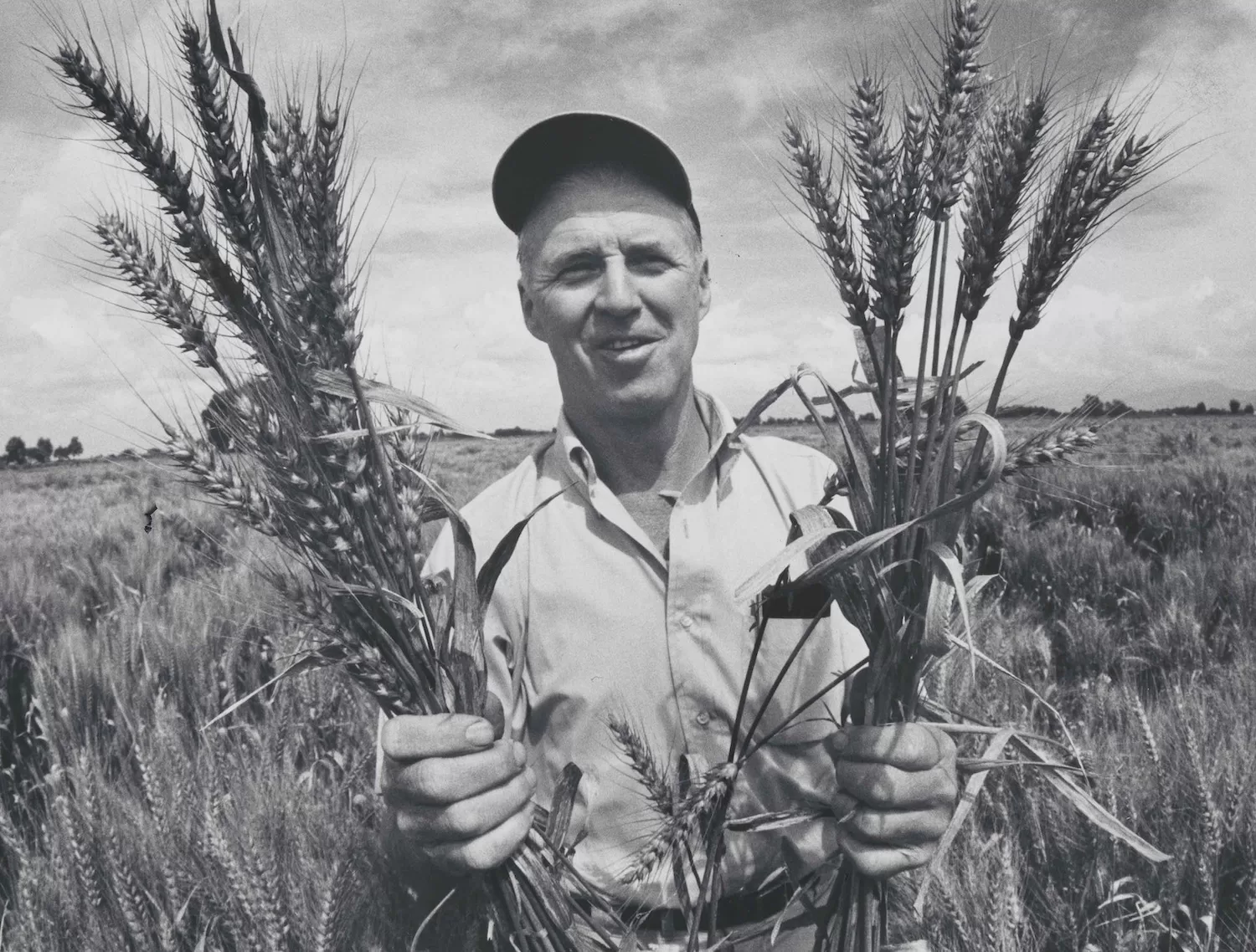 Norman Borlaug Kimdir?