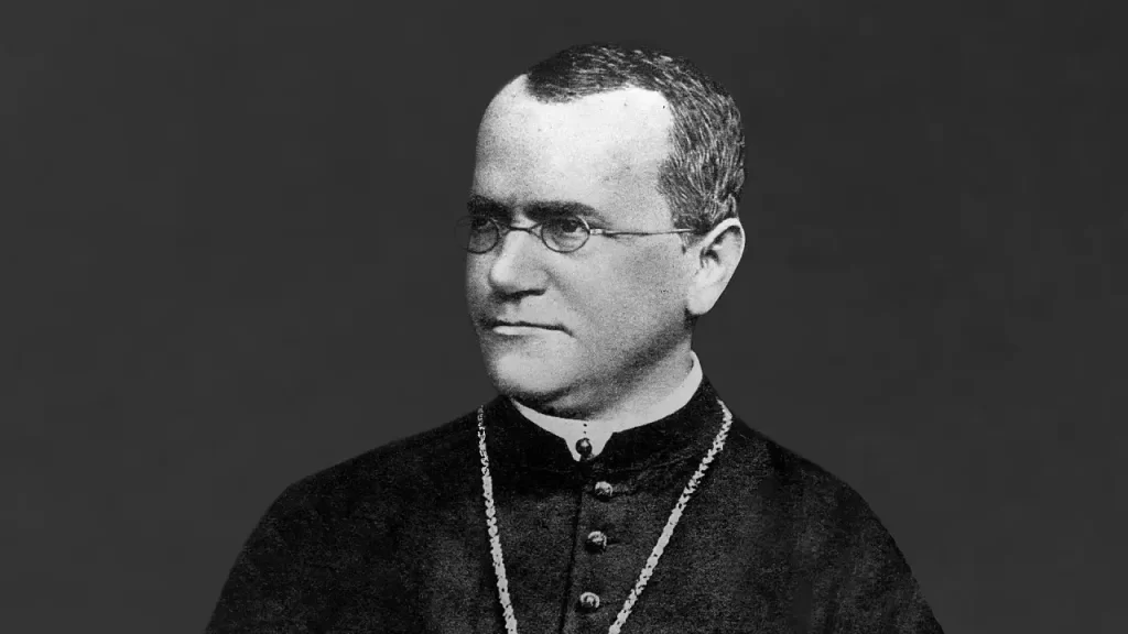 Gregor Mendel Kimdir?